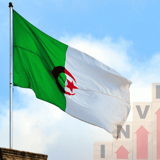 Algérie : « J’ai fait 1 million d’euros de CA en une année », assure un Algérien de France