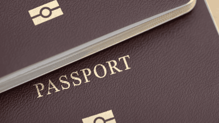 Passeports les plus puissants : les Franco-Algériens ont accès à 201 pays sans visa