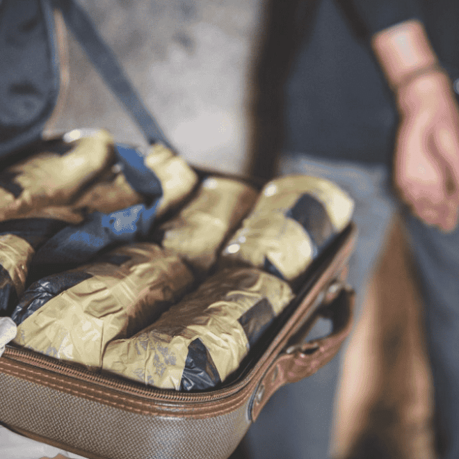 Algérie : grosse quantité de drogue saisie sur un passager venu de France