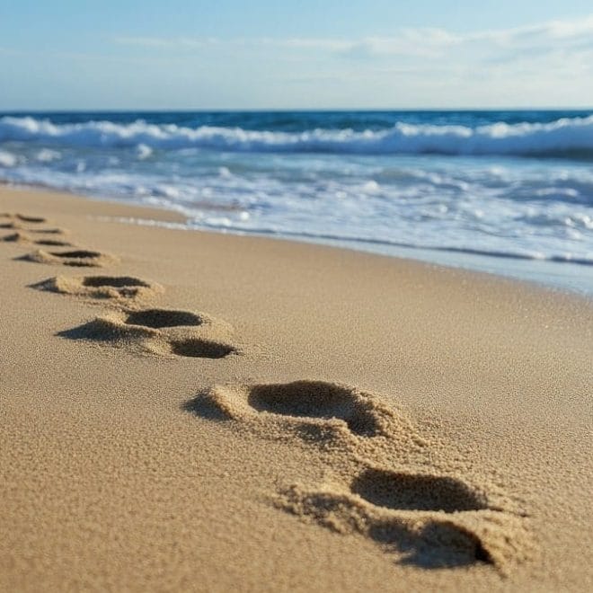 Algérie : il privatise une plage avec un grillage et fait scandale